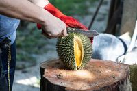 Mengapa Aroma Durian sangat Menyengat? Ini Penjelasannya