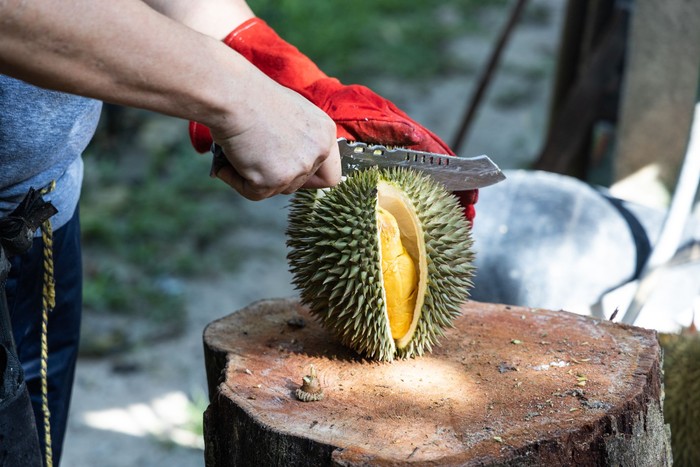 Durian
