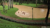Suasana asri dengan rimbunnya pepohonan serta kolam membaut anak-anak langsunng menceburkan diri dan berenang.