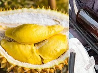 Tips Pilih Durian Enak dan Bawang Putih Obat 70 Jenis Penyakit