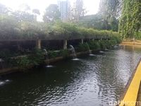 Arboretum punya kolam buatan untuk budidaya ikan. 