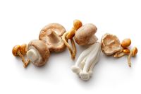 Cara Membuat Spaghetti Mushroom dengan 3 Langkah Mudah