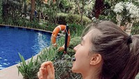 Olivia Jansen mengatakan selalu memulai yang fresh setiap hari, karenanya ia memulai dengan sarapan sehat berupa buah-buahan seperti pepaya, buah naga, melon, dan blueberry. Foto: Instagram @oliviajansen