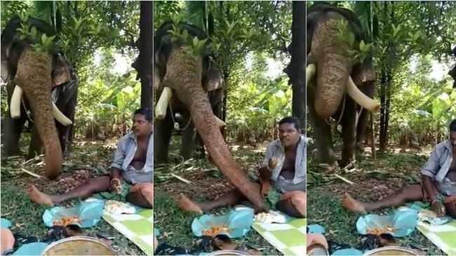 Akrab dan Kompak! Momen Seru Orang yang Makan Bareng Hewan