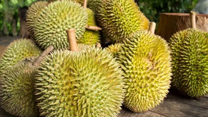 durian populer
