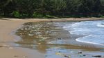 10 Pantai Berbahaya di Asia Tenggara, Ada dari Indonesia