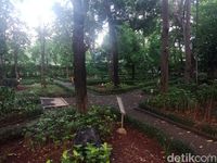 Di hutan kota ini tumbuh kurang lebih 110 tanaman.