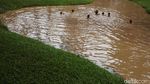 Keseruan Anak-anak Berenang di Waterpark Taman Langsat