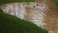 Taman Langsat berada di kawasan Mayestik, Kebayoran Baru, Jakarta Selatan.