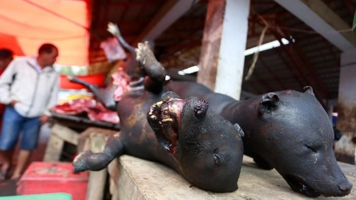 Pasar Tradisional Hewan Liar Pasar Tradisional Hewan Liar