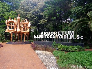 Mau Nyantai di Hutan Kota dekat Gedung DPR? Ini Tipsnya