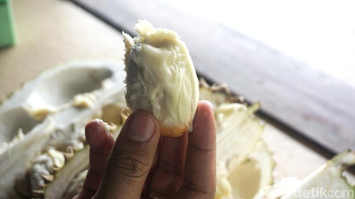 Warso Farm Kebun Durian