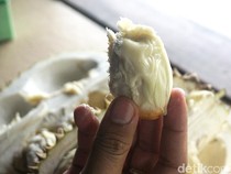 Serbu Yuk! Ini 7 Sentra Durian Terkenal di Jakarta dan Sekitarnya