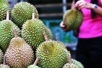 Mengapa Aroma Durian sangat Menyengat? Ini Penjelasannya