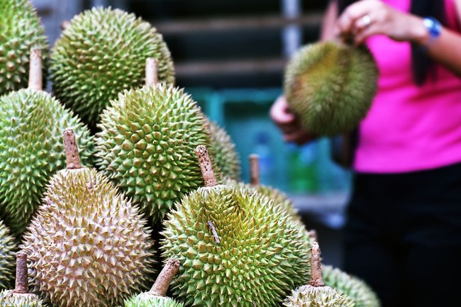 Agar Tak Salah Pilih, Ini 5 Tips Jitu Memilih Durian yang Enak