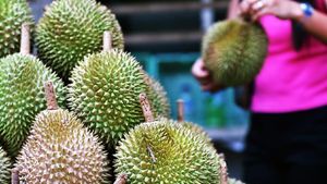 Agar Tak Salah Pilih, Ini 5 Tips Jitu Memilih Durian yang Enak