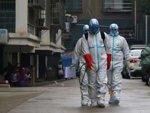 Apa yang Terjadi Setelah WHO Nyatakan Virus Corona Sebagai Darurat Global?