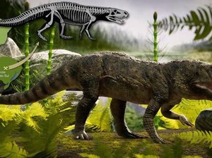 Fosil Buaya Monster Ditemukan, Wujudnya Mengerikan