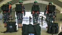 TNI memberangkatkan 44 personel Satgas Garuda penanganan Karhutla yang terdiri dari 41 personel TNI, 1 orang Kementerian Luar Negeri dan 2 orang Badan Nasional Penanggulangan Bencana (BNPB) untuk membuka dan membersihkan akses ke permukiman warga di distrik Eden, New South Wales, Australia.