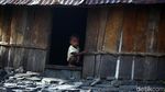 Rumah Adat Honai Khas Papua Terus Dilestarikan