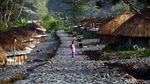 Rumah Adat Honai Khas Papua Terus Dilestarikan