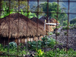 Honai, Rumah Adat Papua dan Keunikannya