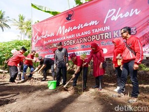 Ultah Megawati di Banyuwangi Digelar dengan Gerakan Menanam di Mata Air Jopuro