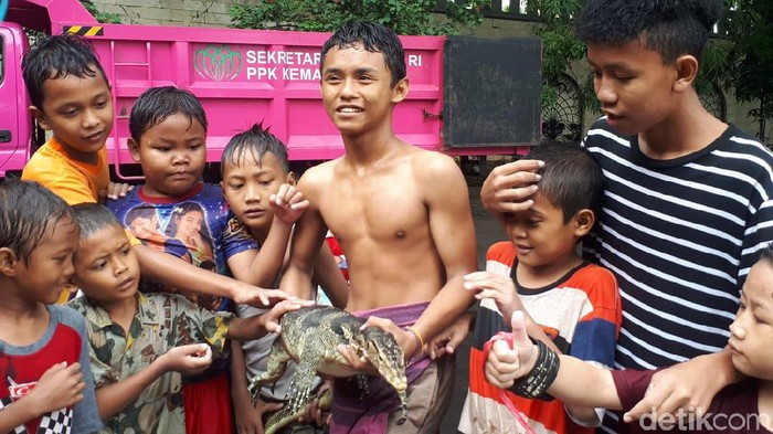 Warga menemukan biawak di Kemayoran