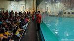 Bermain Sambil Belajar Mengenal Penguin di Ancol Yuk!