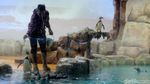 Bermain Sambil Belajar Mengenal Penguin di Ancol Yuk!