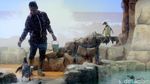 Bermain Sambil Belajar Mengenal Penguin di Ancol Yuk!