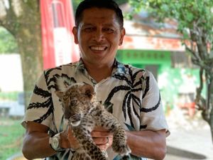 Anakan Leopard Sitaan Penyelundupan di Riau Mati