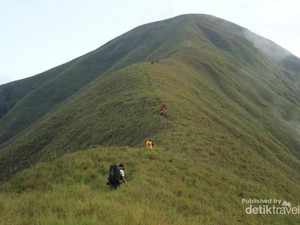 Mengenal Bukit Anak Dara, Replika Mini Rinjani di Lombok yang Terbakar