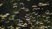 Diperkirakan ada miliar belalang yang menyerbu wilayah Kenya.