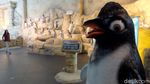Bermain Sambil Belajar Mengenal Penguin di Ancol Yuk!