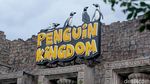 Bermain Sambil Belajar Mengenal Penguin di Ancol Yuk!