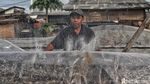 Geliat Produksi Ikan Asin yang Lesu di Musim Hujan