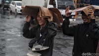 Kardus bekas juga dimanfaatkan warga saat hujan.