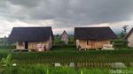 5 Wisata Alam Cianjur yang Ngangenin dan Instagramable