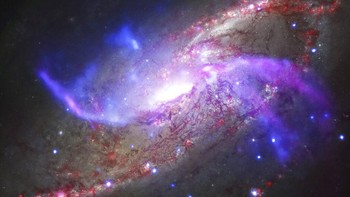 Galaksi NGC 4258, juga dikenal sebagai M106, sekitar 23 juta tahun cahaya dari Bumi. Foto: NASA/CXC/JPL-Caltech/STScI/NSF/NRAO/VLA via AP.  