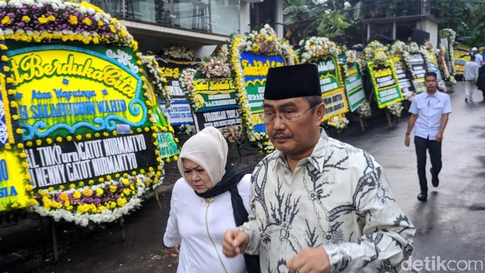 Jimly Asshiddiqie (Matius Alfons/detikcom)