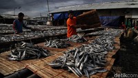 Biasanya, saat musim panas perajin ikan asin dapat memproduksi ikan asin sebanyak 1-2 ton.