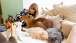Kafe Jepang Tempat Nongkrong Bareng Capybara dan Kucing