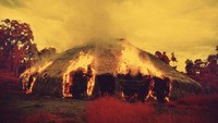 Orang suku Yanomami menganggap nge-Fly sudah jadi seperti sebuah tradisi. (Claudia Andujar/BBC)
