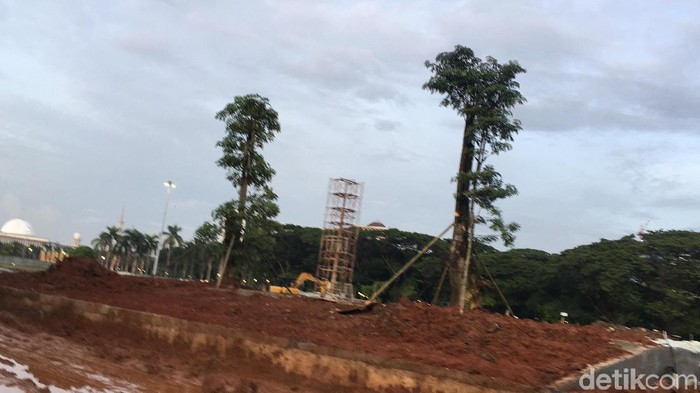 Pohon-pohon ditanami di lokasi revitalisasi Monas.