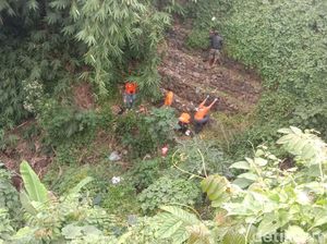 Jasad Penagih Utang Korban Pembunuhan Ditemukan di Dasar Jurang