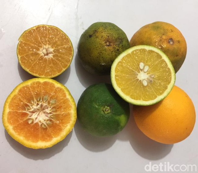 Cara Memilih Jeruk yang Manis Segar Untuk Bayi