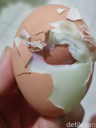 Ini Dia Penampakan Telur dalam Telur di Makassar