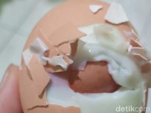 Heboh Telur Isi Telur di Makassar, Induk Ayamnya Diduga Stres