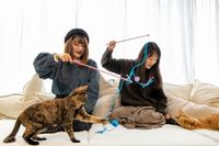 Kucing-kucing di sini merupakan kucing yang menunggu untuk diadopsi.